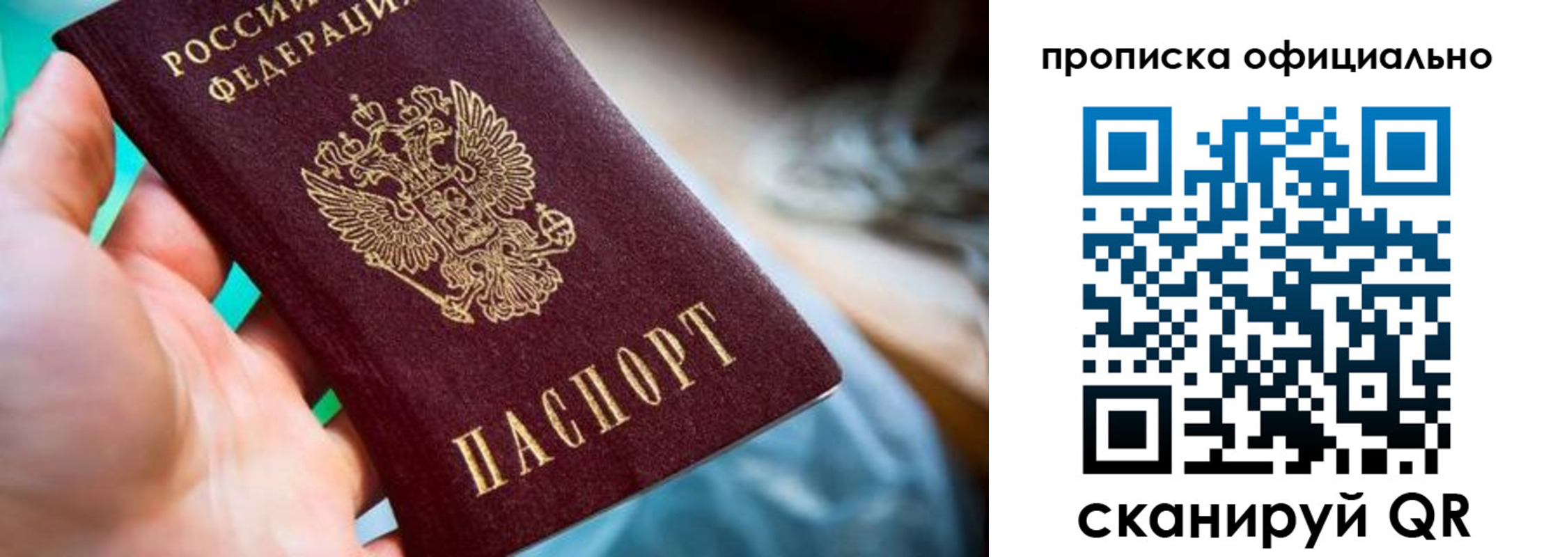 прописка поиск в Сельцо